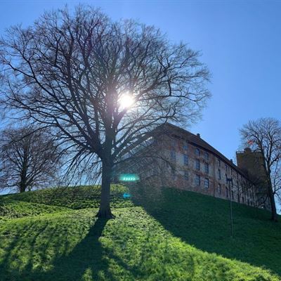 Offentlig Rundvisning: Koldinghus' Historie